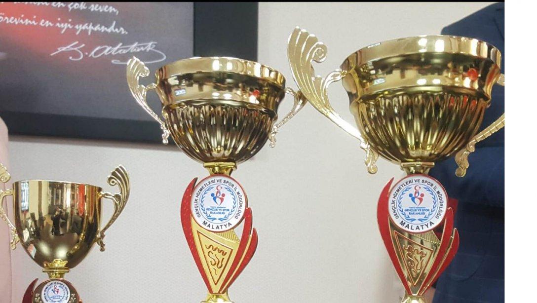´´ Liseler Arası Satranç ´´ Turnuvasında 3 Kupa  ve 21 Madalya Kazandık.